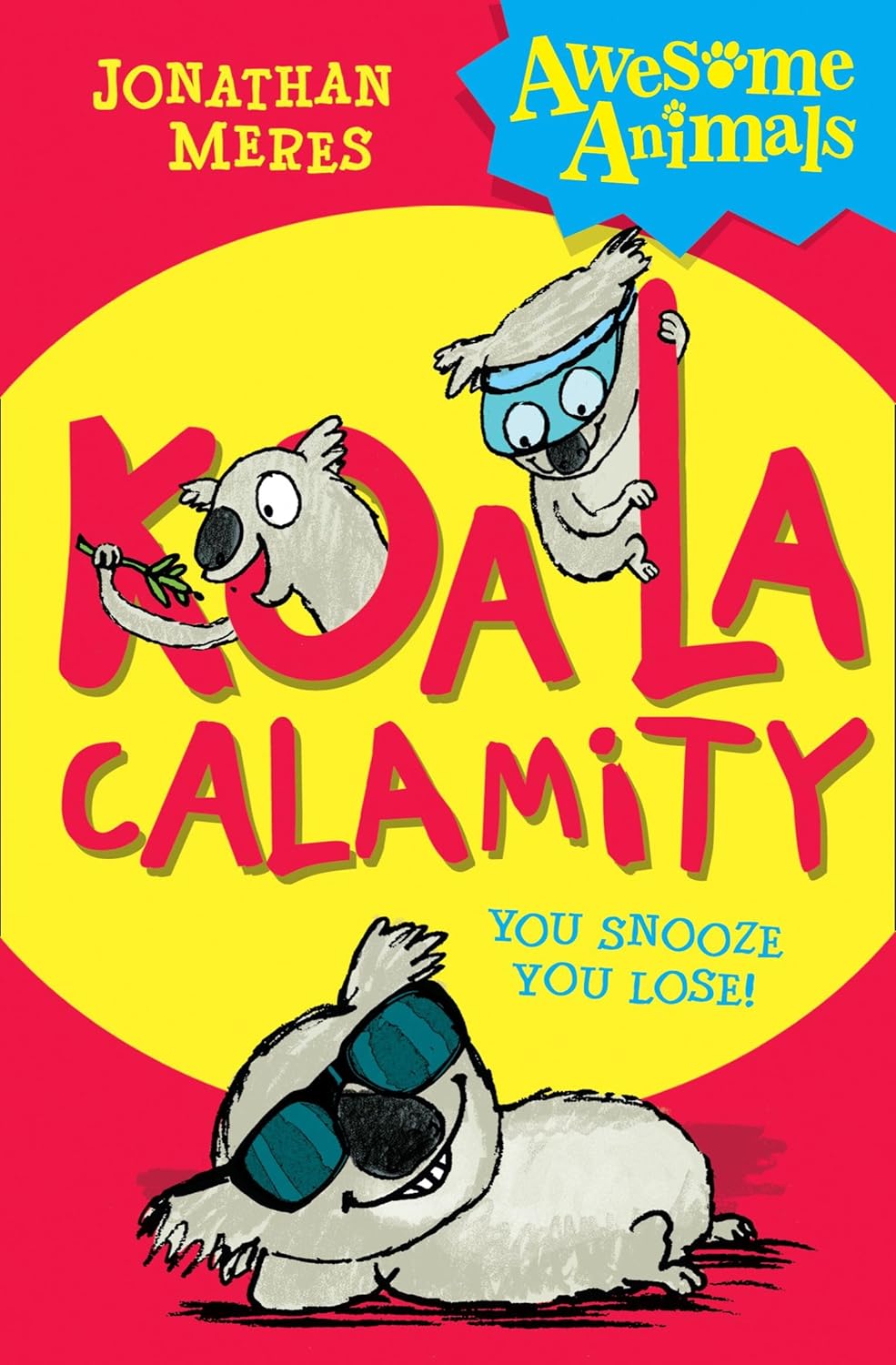 Koala Calamity You Snooze You Lose