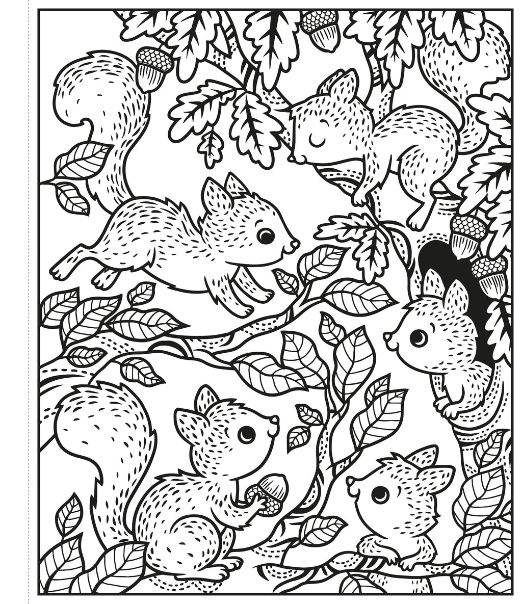 Animals Magic Painting Book