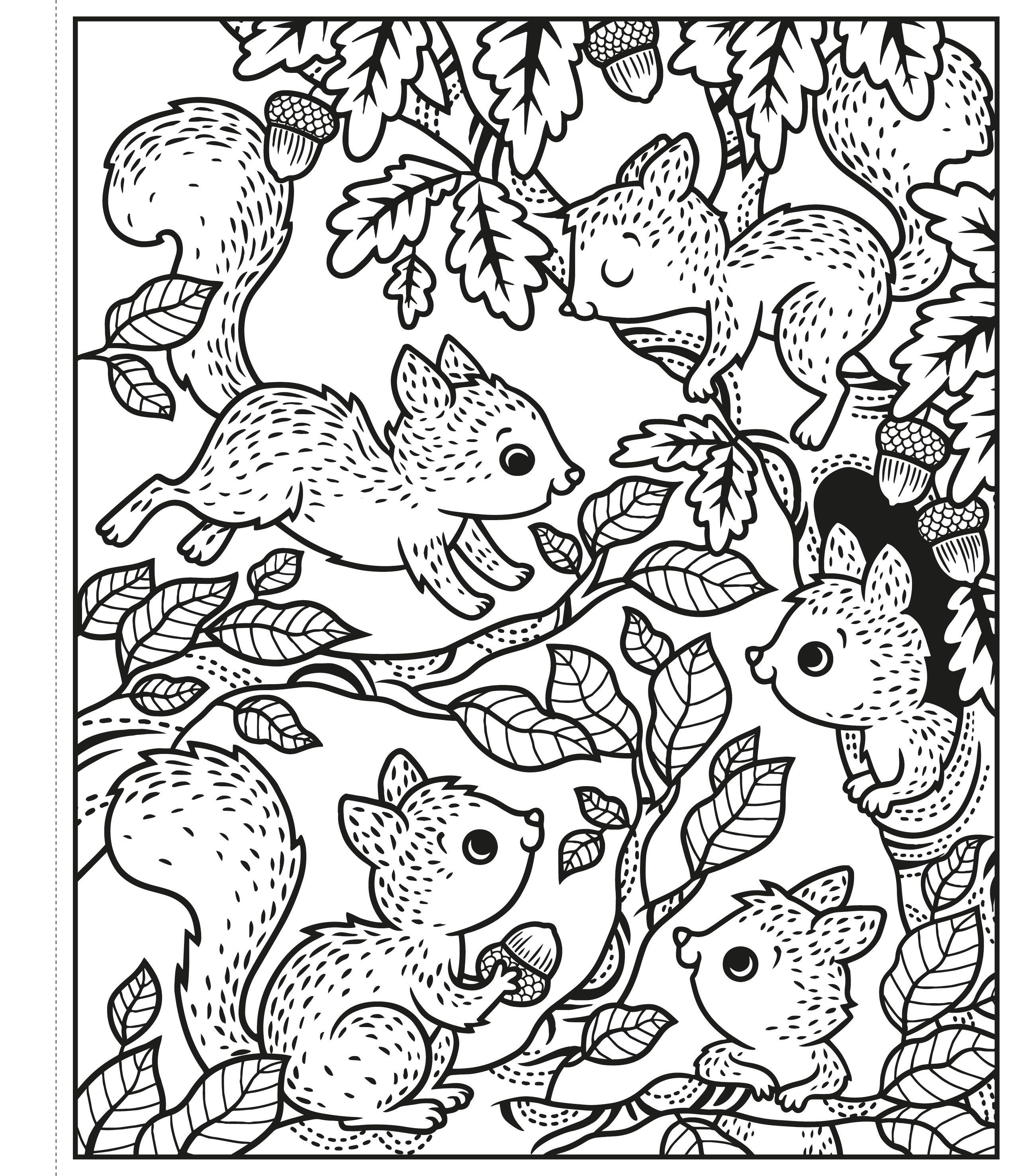 Animals Magic Painting Book