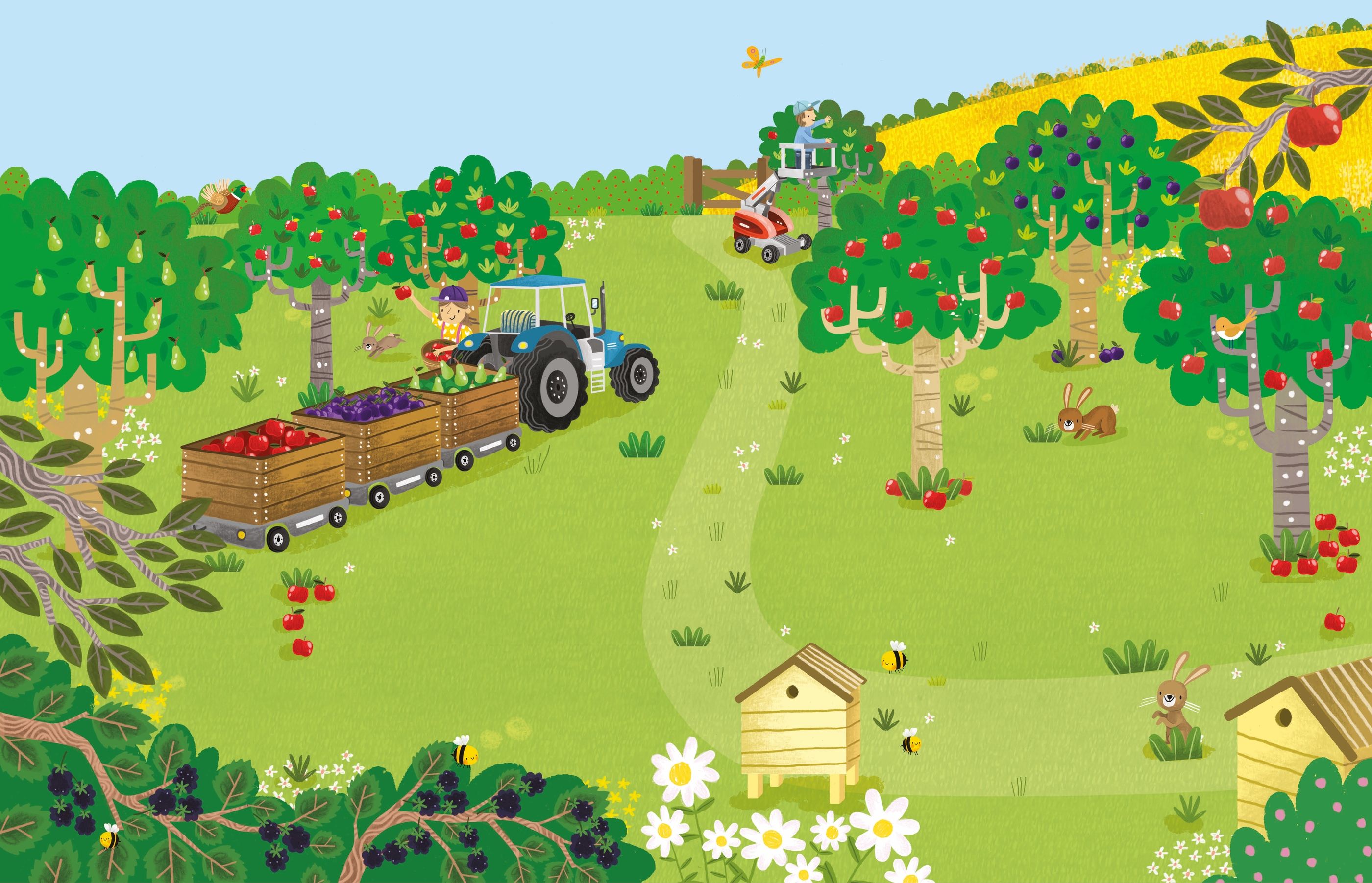 Farm First Sticker Book