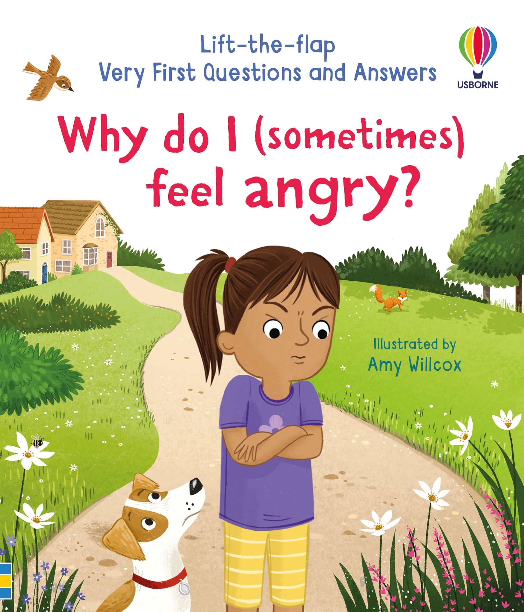 Why do I (sometimes) feel angry?