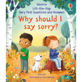 Why should I say sorry?
