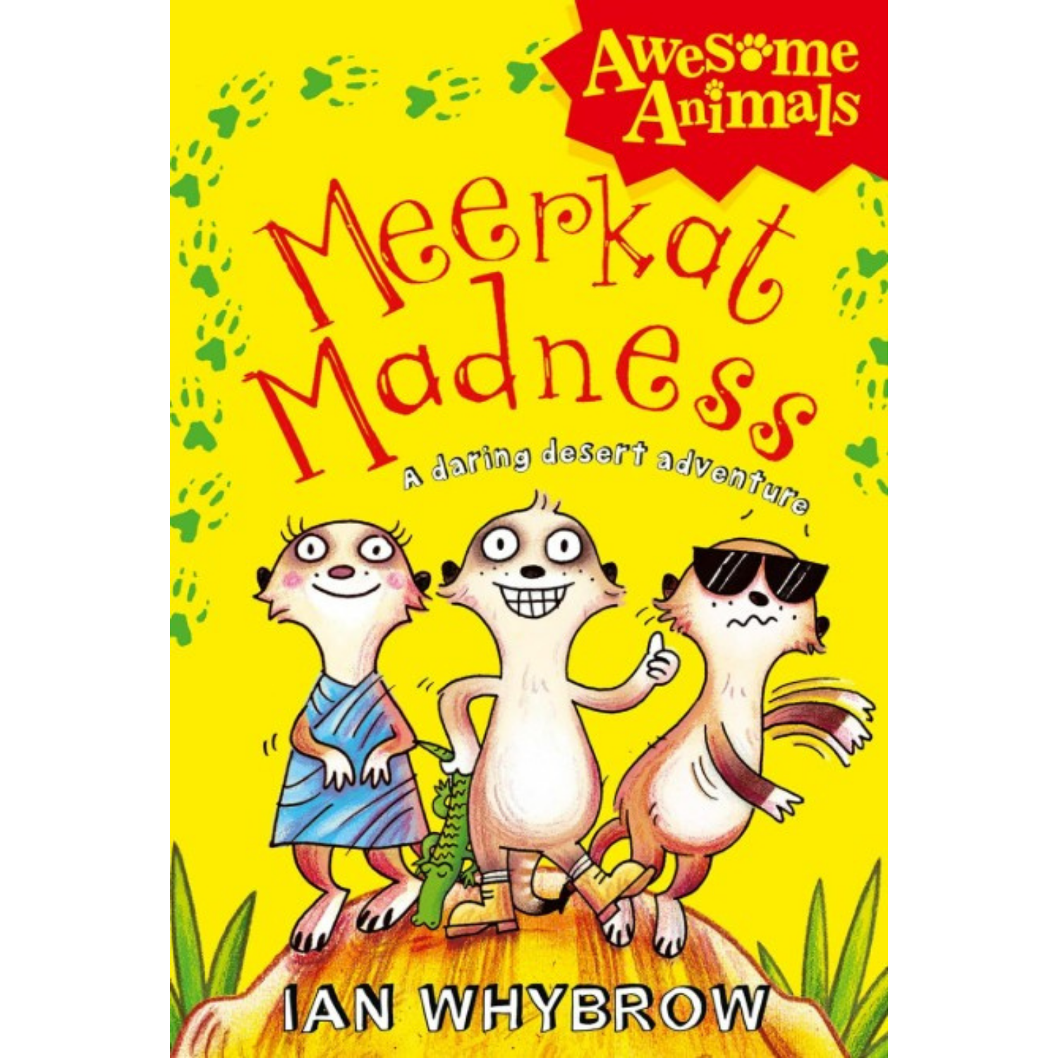 Meerkat Madness A desert adventure