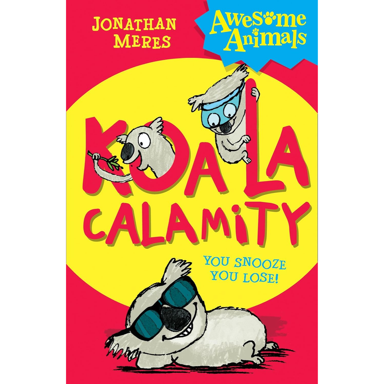 Koala Calamity You Snooze You Lose