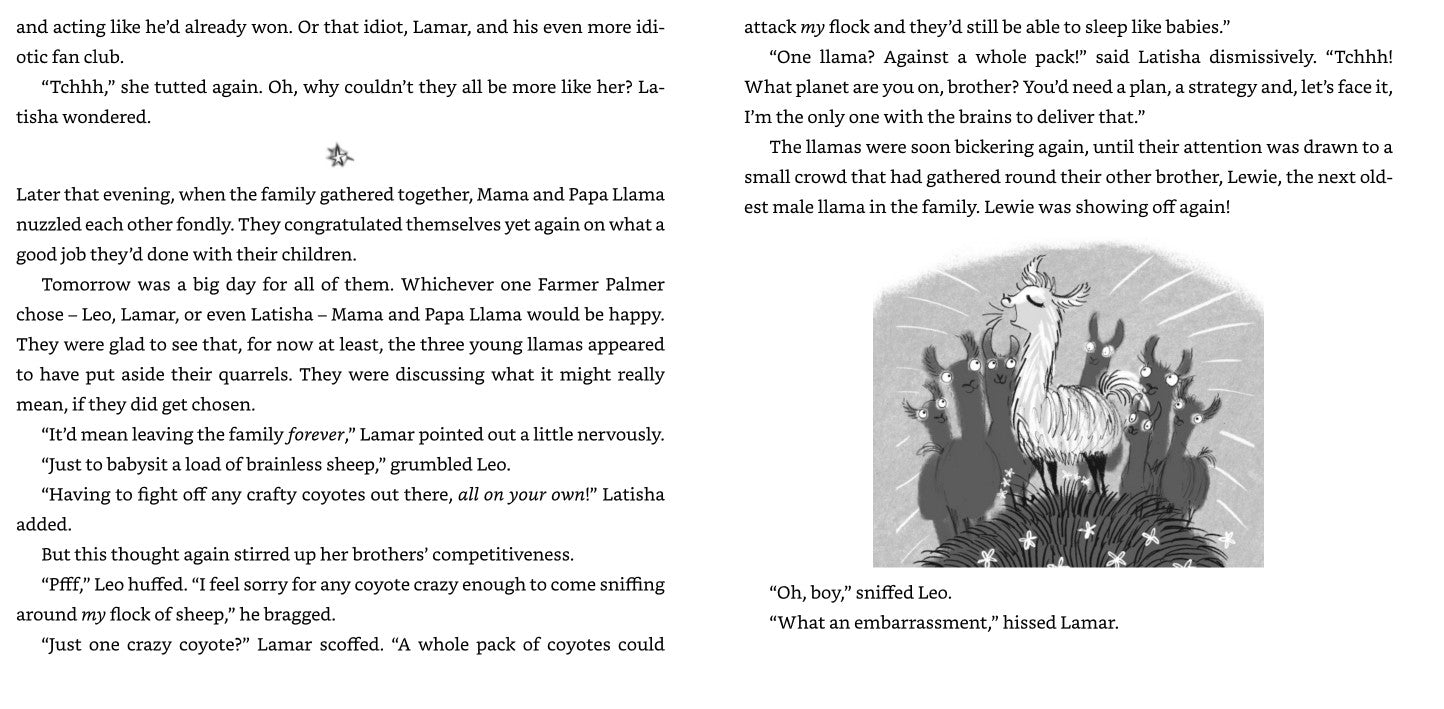 Llama Drama It's showtime