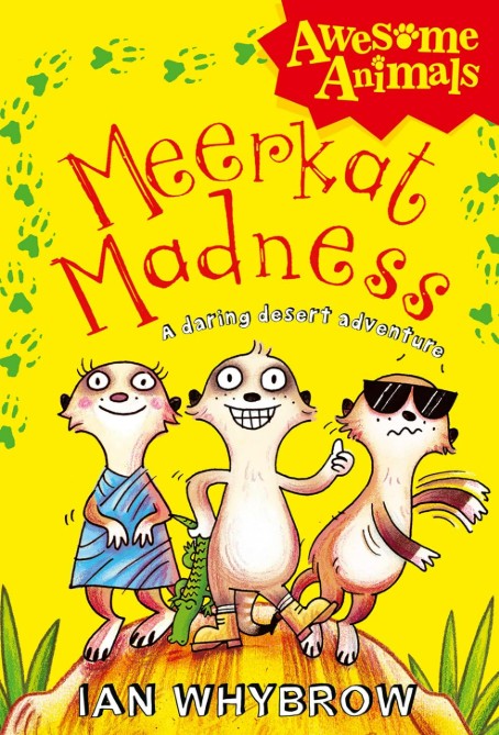 Meerkat Madness A desert adventure