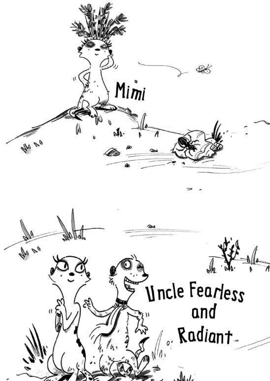 Meerkat Madness A desert adventure