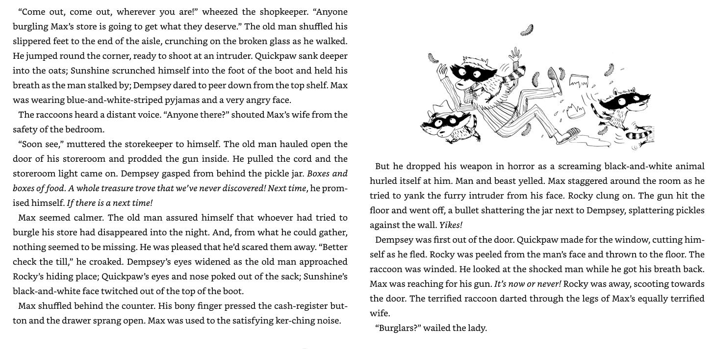Racoon Rampage